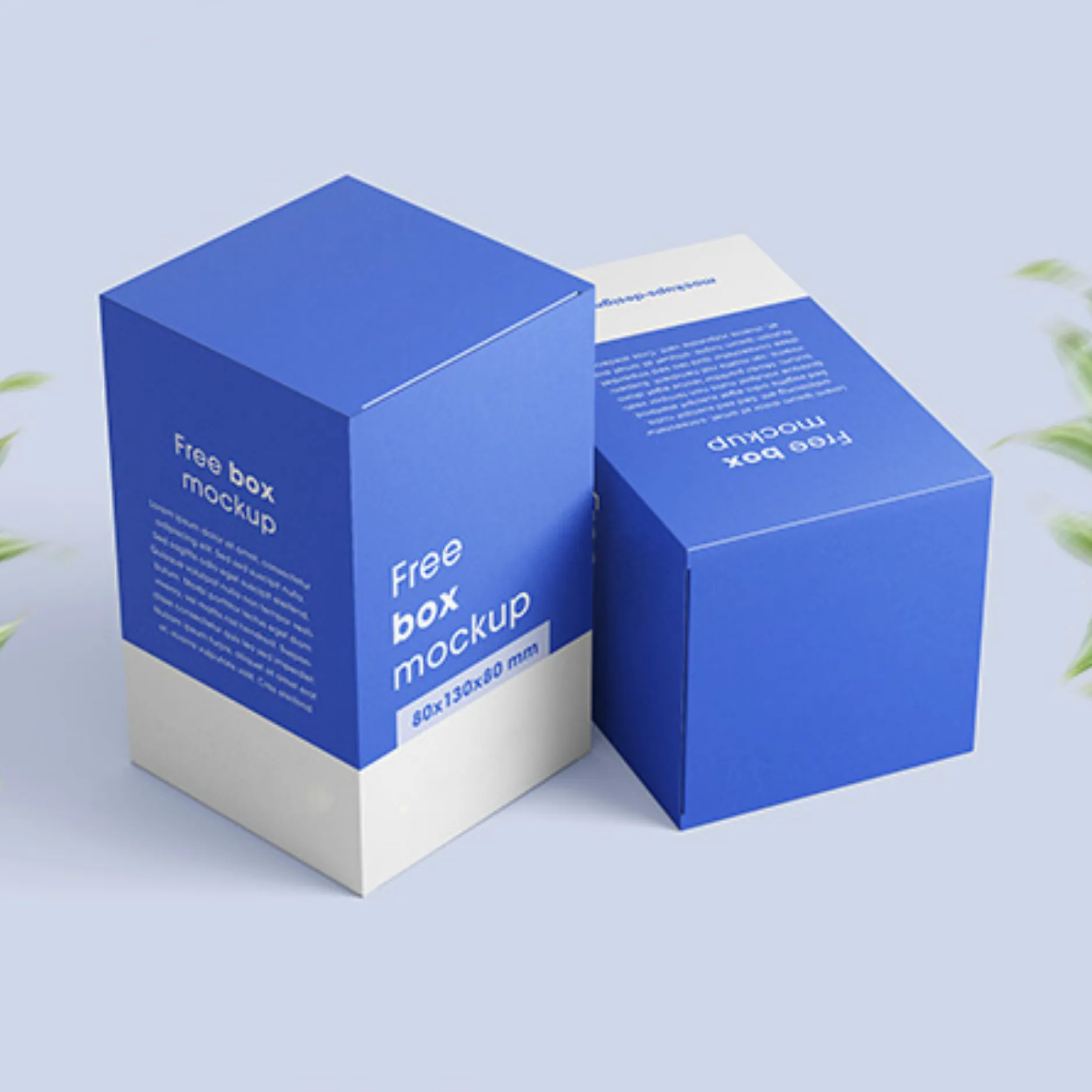 Medicine Boxes