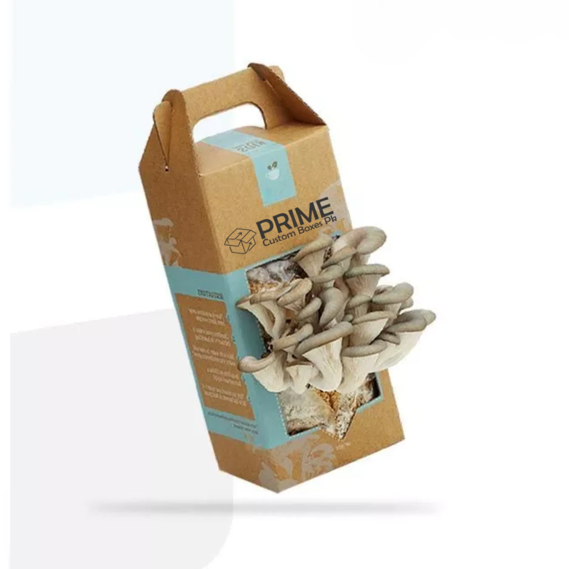 Mushroom Boxes