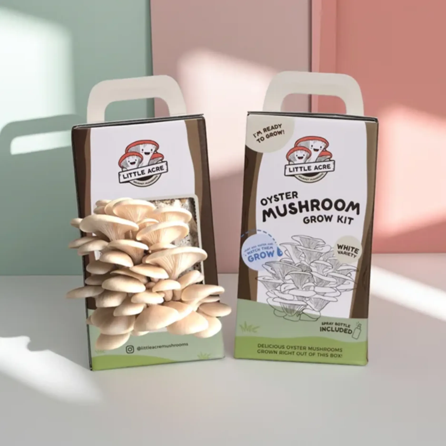 Mushroom Boxes
