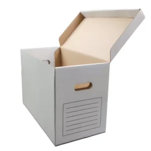 Outdoor Storage Box